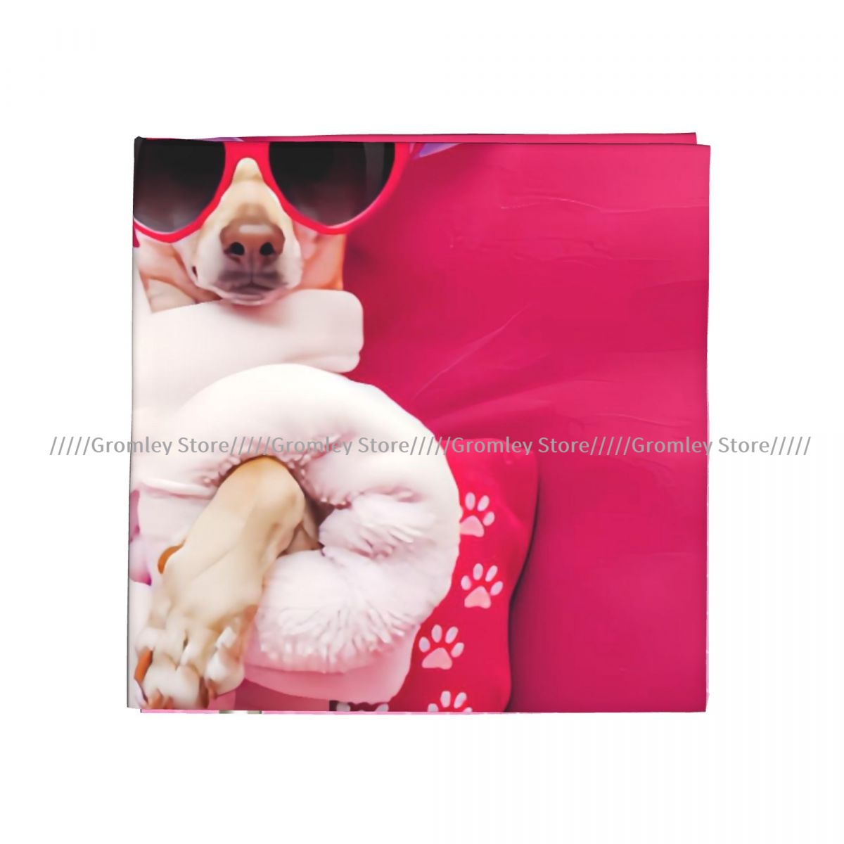 Chihuahua Dog Relaxing And Lyi - đánh giá và giá Spa Wellness In